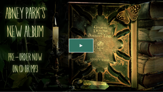Análisis de una Campaña de Crowdfunding Exitosa: Abney Park